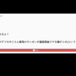 レス16番のサムネイル画像