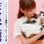 レス1番のリンク先のサムネイル画像