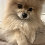 レス1番のサムネイル画像