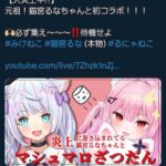 レス8番の画像1
