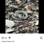 レス1番のサムネイル画像