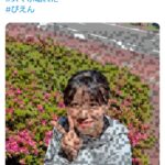 レス1番のサムネイル画像