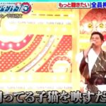 レス5番の画像2