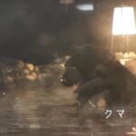 レス2番の画像1