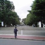 レス11番の画像3