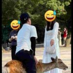 レス1番の画像1