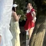 レス2番の画像1