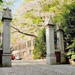 レス38番の画像2