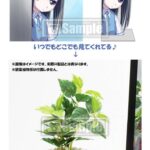 レス28番の画像1