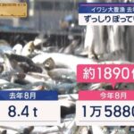 レス2番の画像1