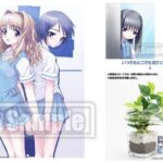 レス22番の画像1