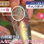 レス8番の画像2