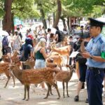 レス1番のリンク先のサムネイル画像