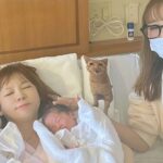 レス11番の画像1