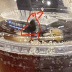 レス51番の画像1