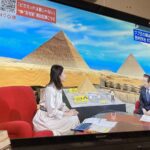 レス11番の画像1