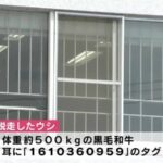 レス1番のリンク先のサムネイル画像