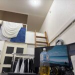 レス19番の画像1