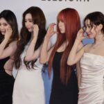 レス34番のリンク先のサムネイル画像