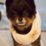 レス1番の画像3