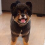 レス1番の画像2