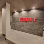 レス8番の画像1