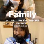 レス7番の画像1