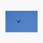 レス137番のリンク先のサムネイル画像