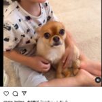 レス1番の画像2