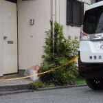 レス1番のリンク先のサムネイル画像