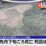 レス1番のリンク先のサムネイル画像