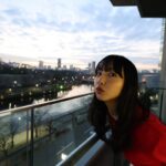 レス20番の画像1