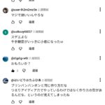 レス13番の画像1