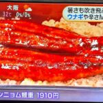 レス2番の画像1