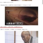 レス1番のリンク先のサムネイル画像