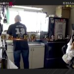 レス4番の画像17