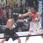 レス33番の画像1