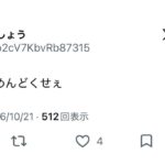 レス1番の画像3